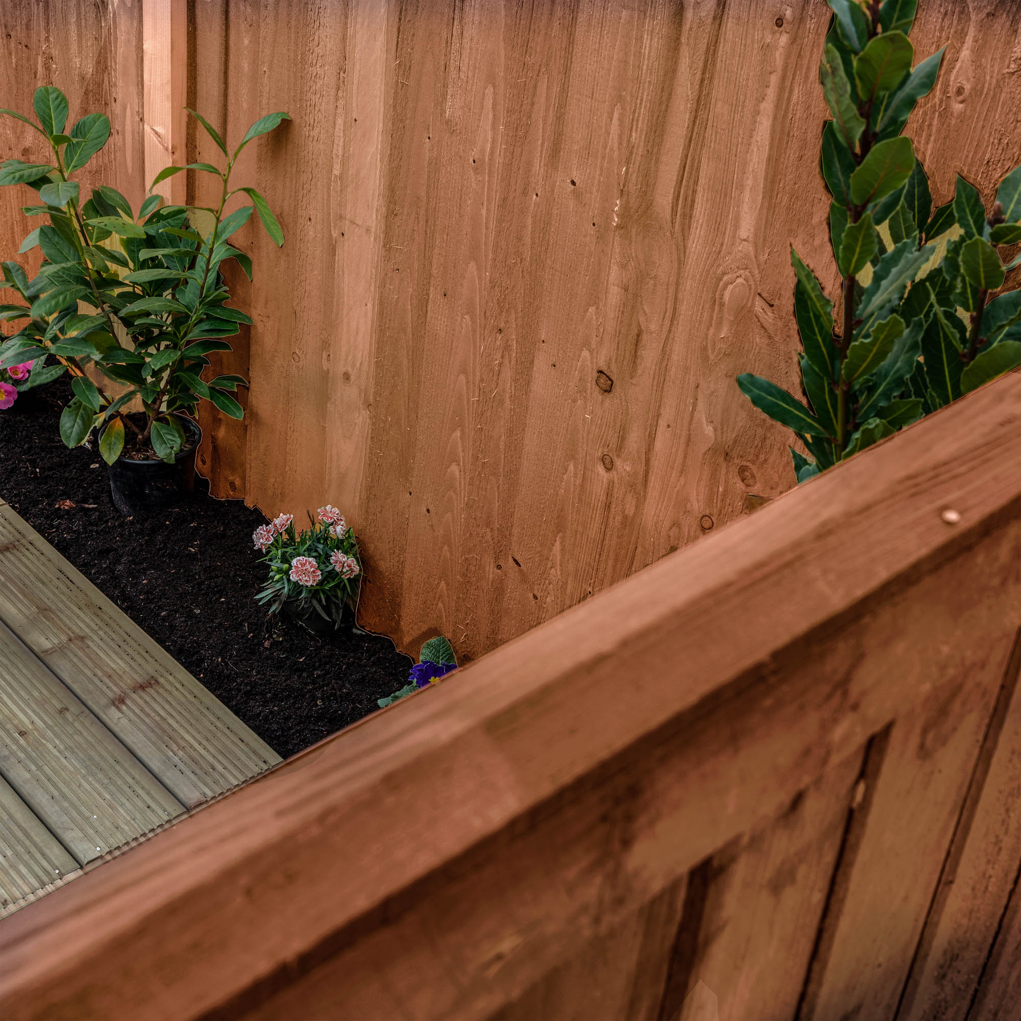 Mercia Feather Edge - Pressure Treated Fence Panel (3 Foot / 915mm) (SI-008-033-0005 - EAN 5029442087405)