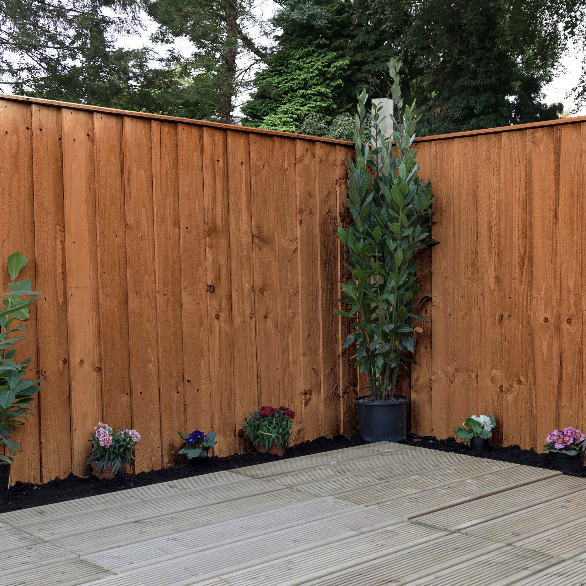 Mercia Feather Edge - Pressure Treated Fence Panel (3 Foot / 915mm) (SI-008-033-0005 - EAN 5029442087405)