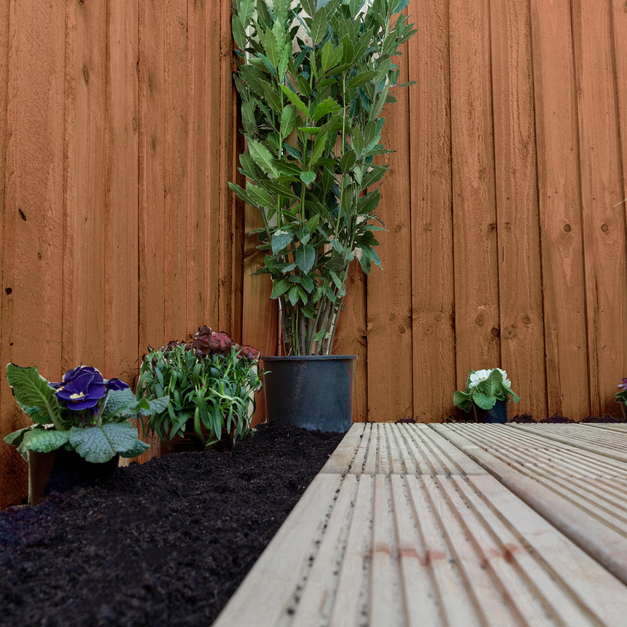 Mercia Feather Edge - Pressure Treated (4 Foot / 1220mm) (SI-008-034-0006 - EAN 5029442087412)