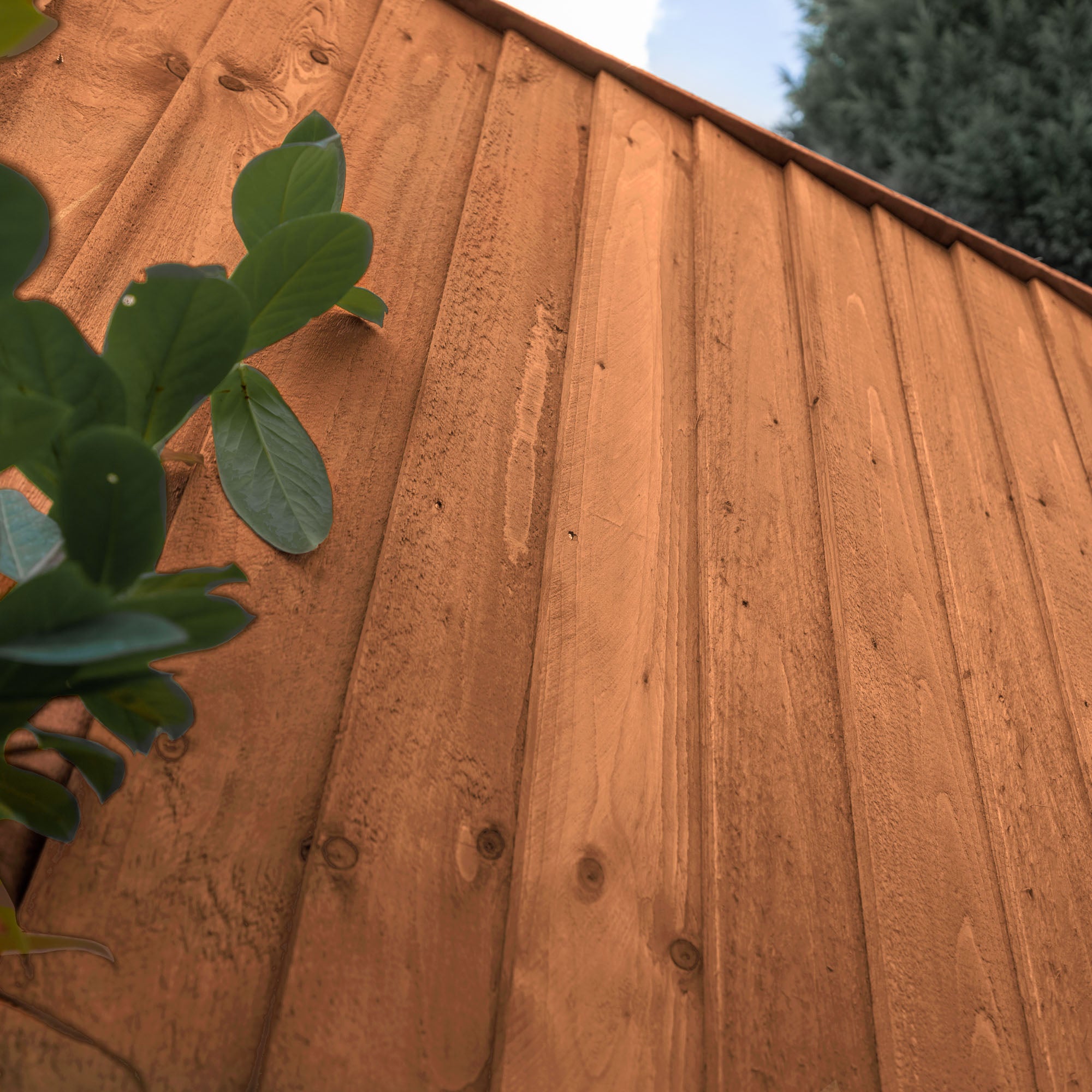 Mercia Feather Edge - Pressure Treated (4 Foot / 1220mm) (SI-008-034-0006 - EAN 5029442087412)